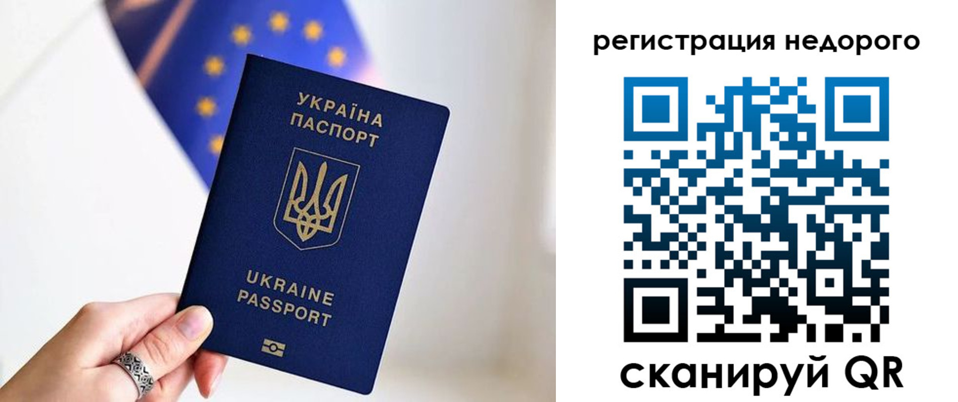 прописка 2025 в Губкине